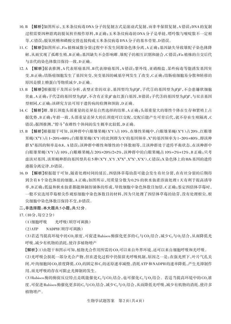 2024-2025学年高三备考核心模拟中期考试答案与详解  生物学第2页