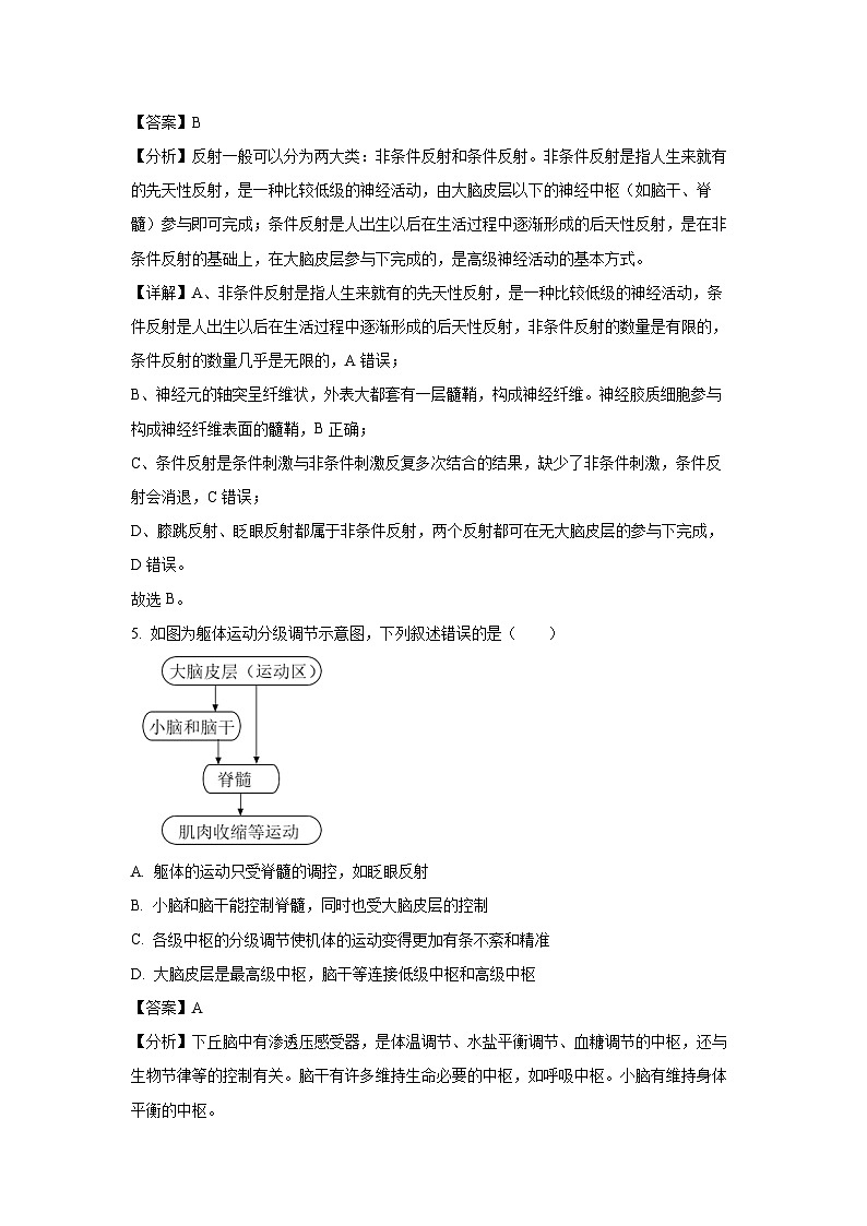 2024-2025学年河北省衡水市武强中学高二(上)期中生物试卷(解析版)第3页