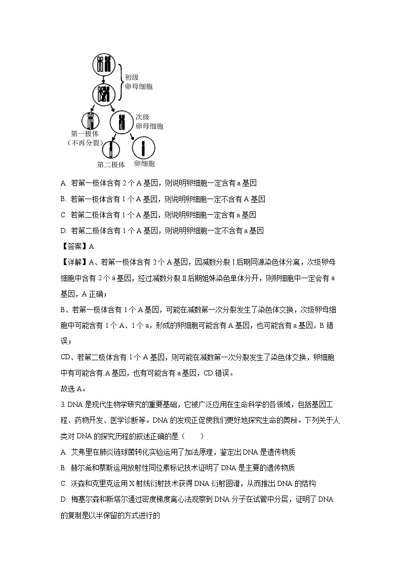 2024-2025学年湖北省部分名校高二(上)10月月考生物试卷(解析版)第2页