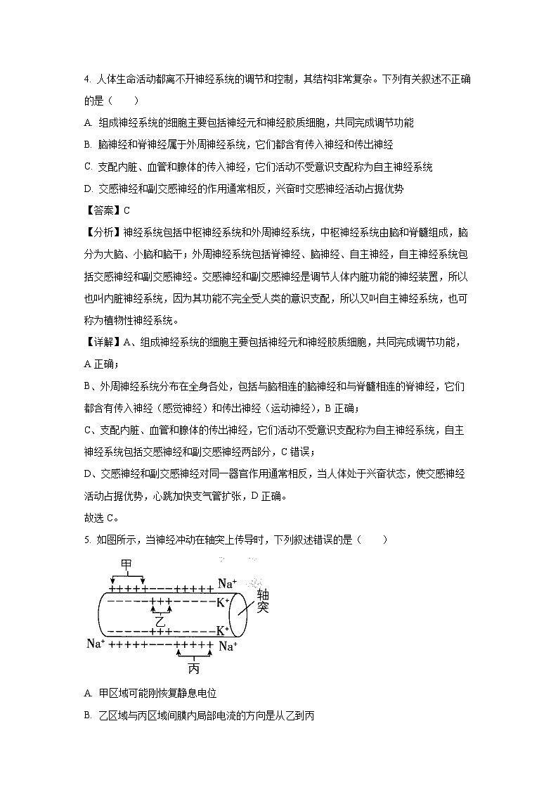 2024-2025学年辽宁省重点高中沈阳市郊联体 高二(上)10月月考学生物试卷(解析版)03