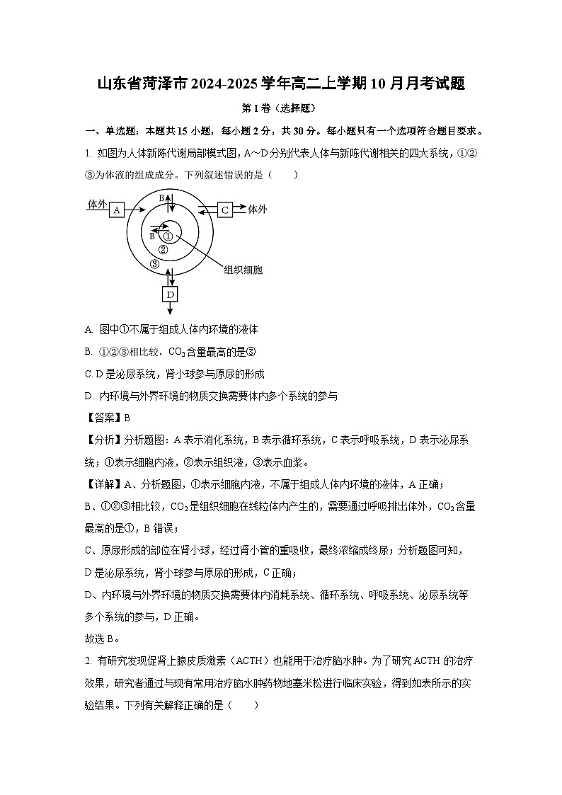 2024-2025学年山东省菏泽市高二(上)10月月考生物试卷(解析版)第1页