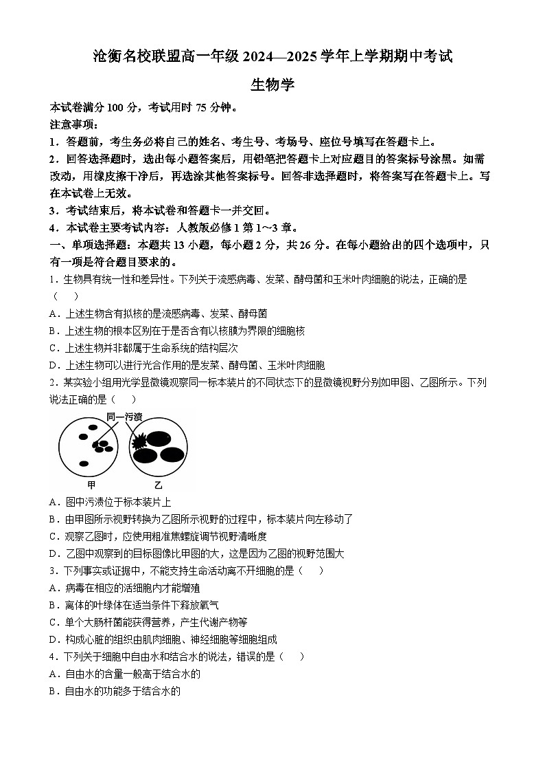 河北省沧衡名校联盟2024-2025学年高一上学期11月期中考试生物试题01