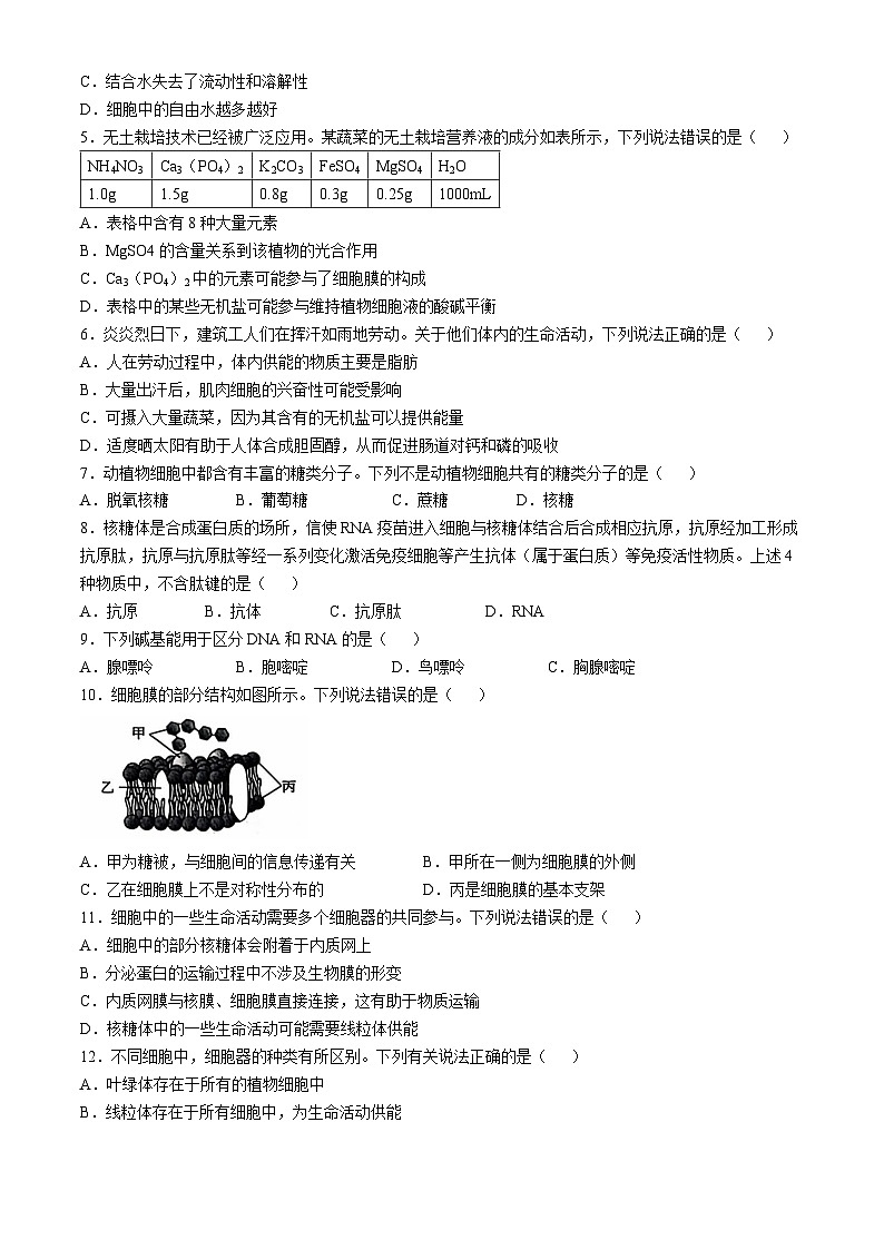 河北省沧衡名校联盟2024-2025学年高一上学期11月期中考试生物试题02