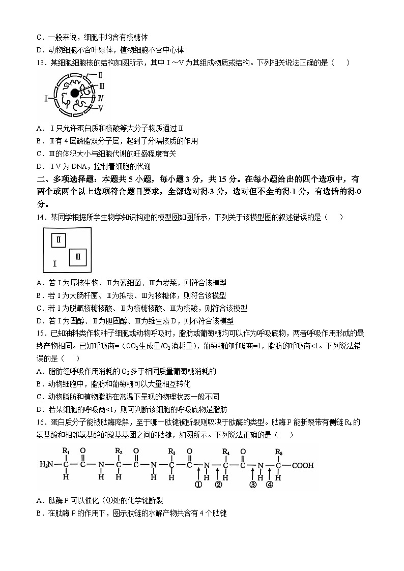 河北省沧衡名校联盟2024-2025学年高一上学期11月期中考试生物试题03