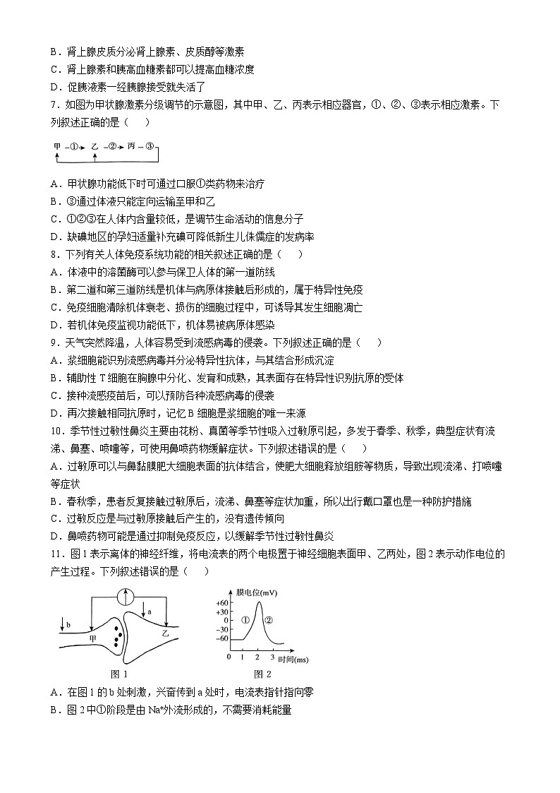 河南省普通高中2024-2025学年高二上学期期中考试生物试题第2页