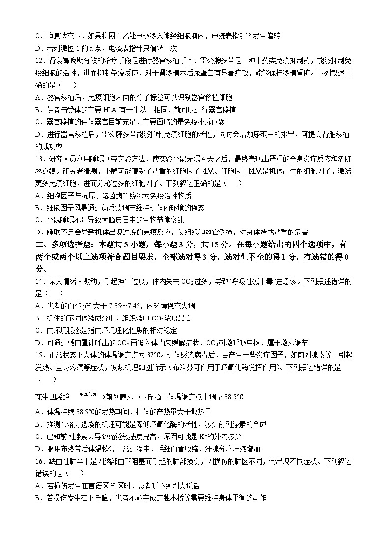 河南省普通高中2024-2025学年高二上学期期中考试生物试题第3页