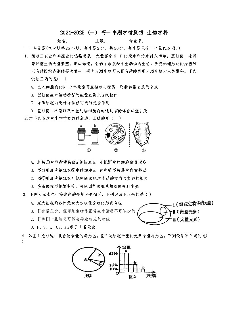 天津市南开区南开大学附属中学2024-2025学年高一上学期11月期中生物试题第1页