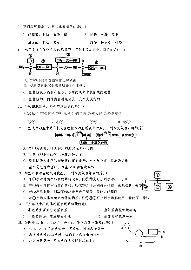 天津市南开区南开大学附属中学2024-2025学年高一上学期11月期中生物试题第3页
