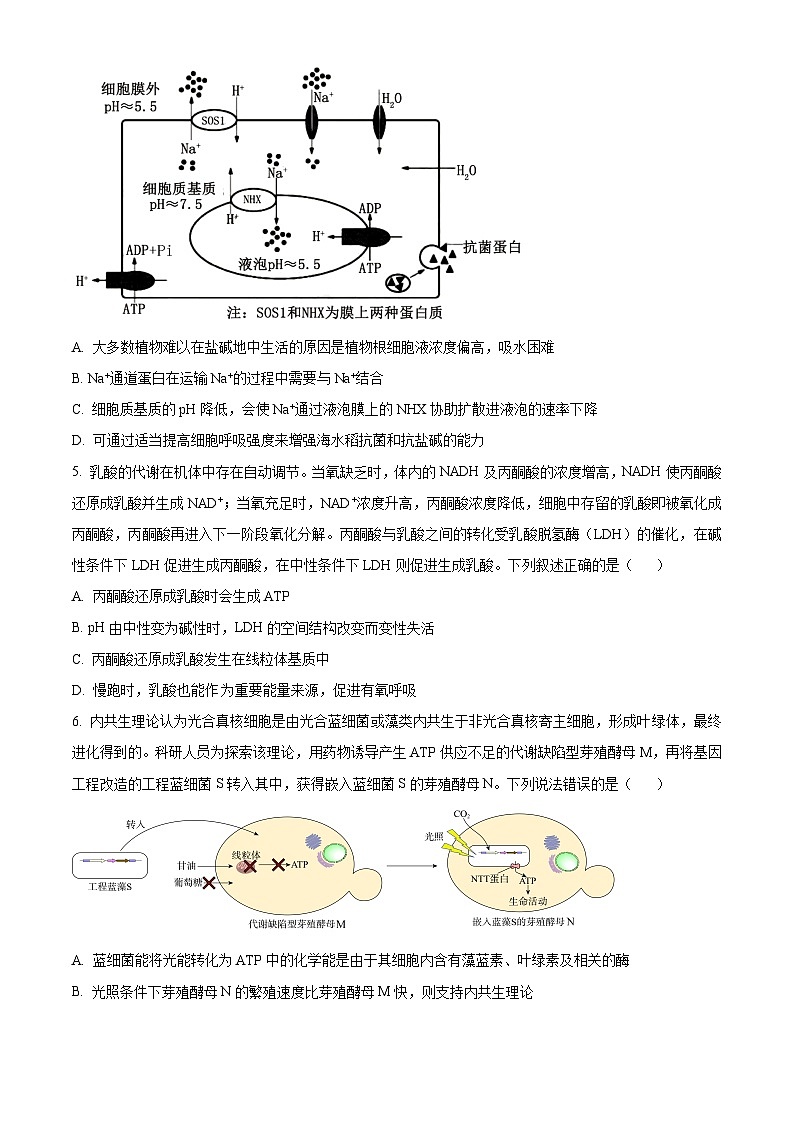 2025届广东省肇庆市高三一模生物试题无答案第2页
