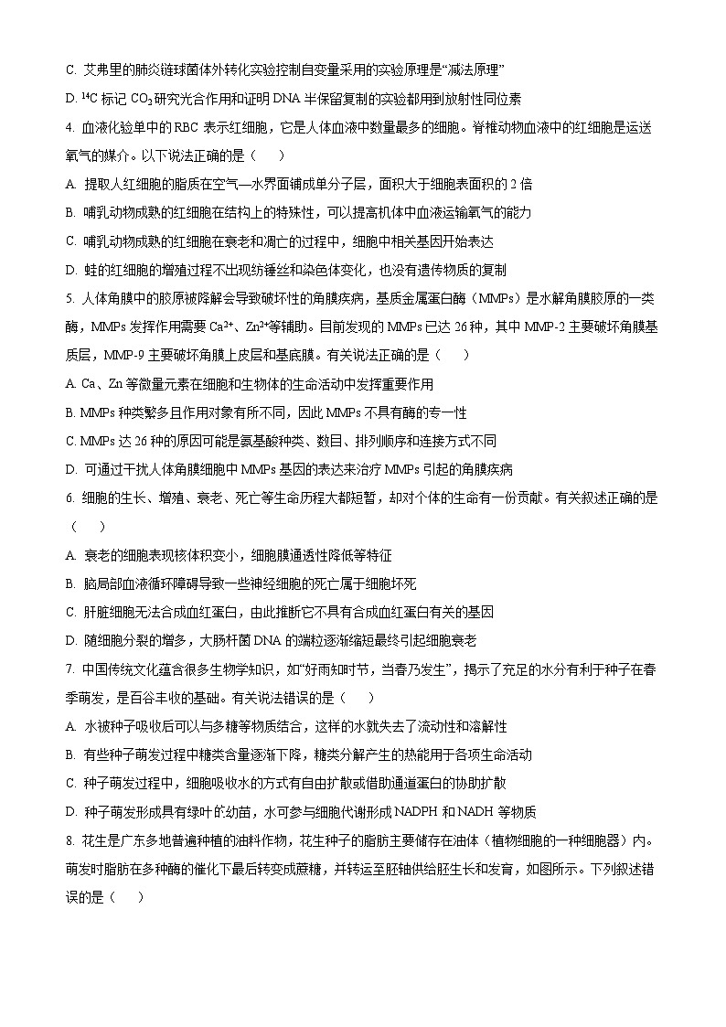 广东省顺德区普通高中2024-2025学年高三上学期11月教学质量检测生物试题无答案第2页