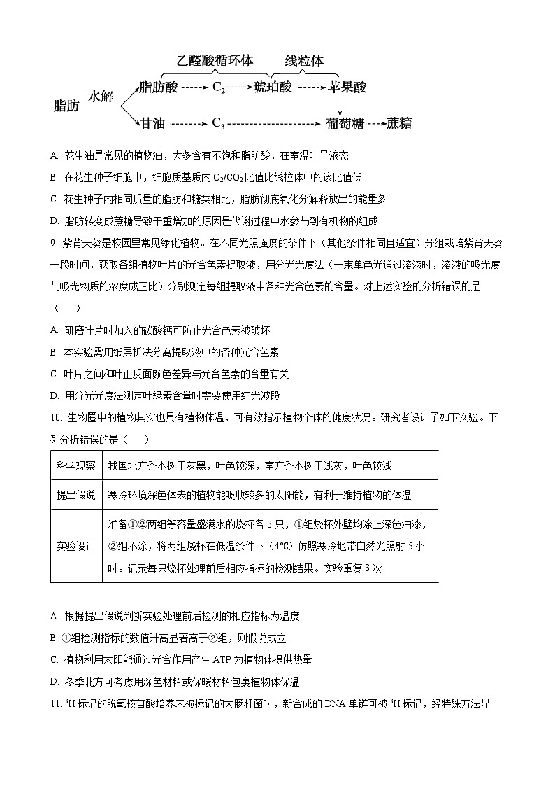 广东省顺德区普通高中2024-2025学年高三上学期11月教学质量检测生物试题无答案第3页