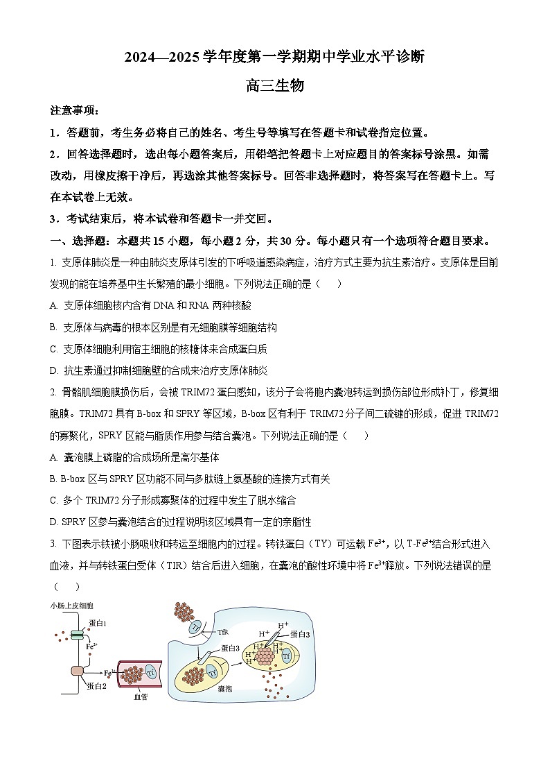 山东省烟台市2025届高三上学期期中学业水平诊断生物试题第1页