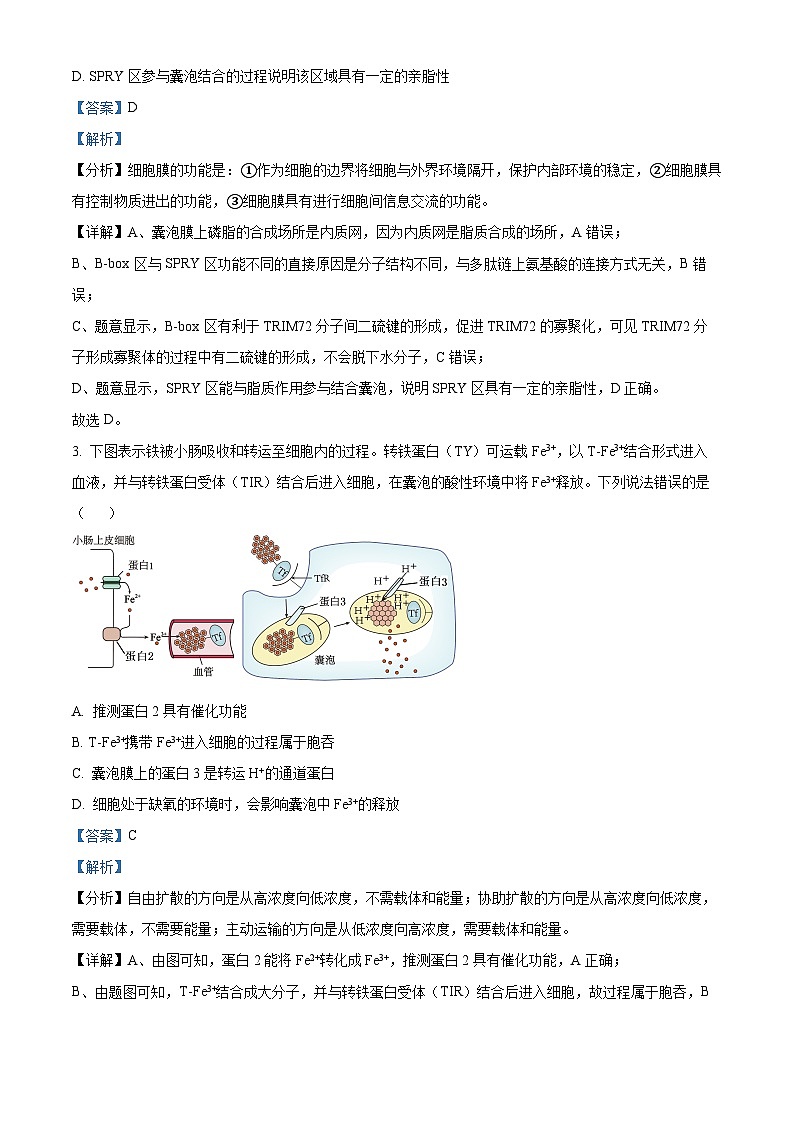 山东省烟台市2025届高三上学期期中学业水平诊断生物试题含解析第2页