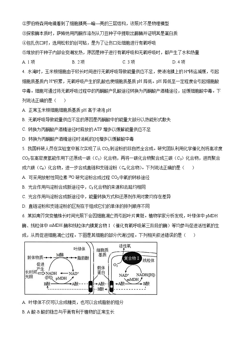 山东省实验中学2025届高三上学期第二次诊断考试生物试题第2页