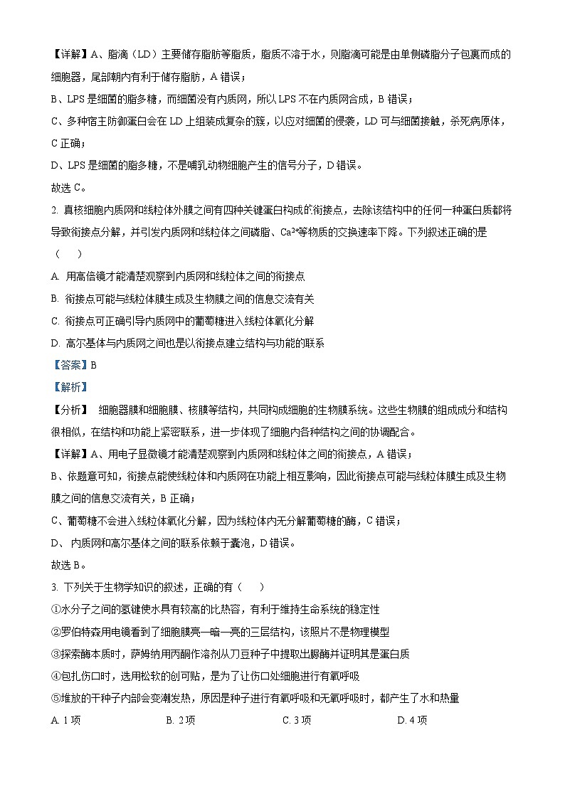 山东省实验中学2025届高三上学期第二次诊断考试生物试题含解析第2页