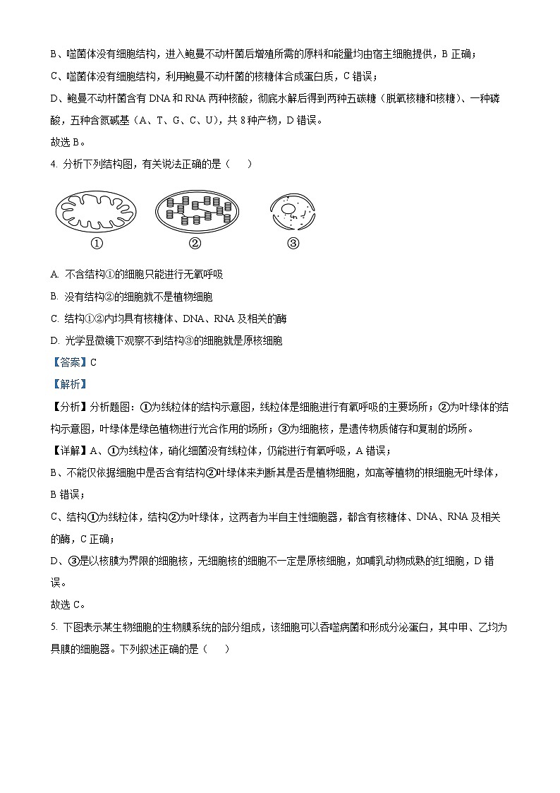 2025吕梁高三上学期11月期中考试生物含解析03