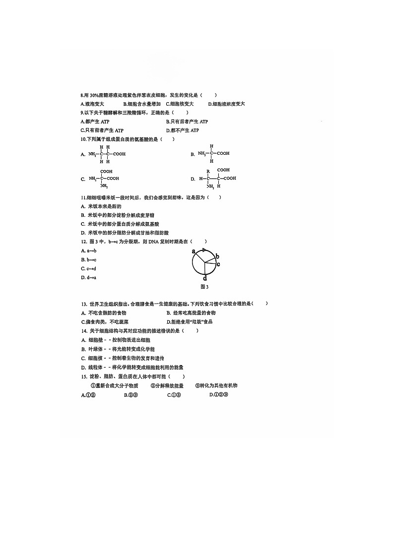上海市闵行区六校联考2024-2025学年高一上学期10月期中考试生物试题02