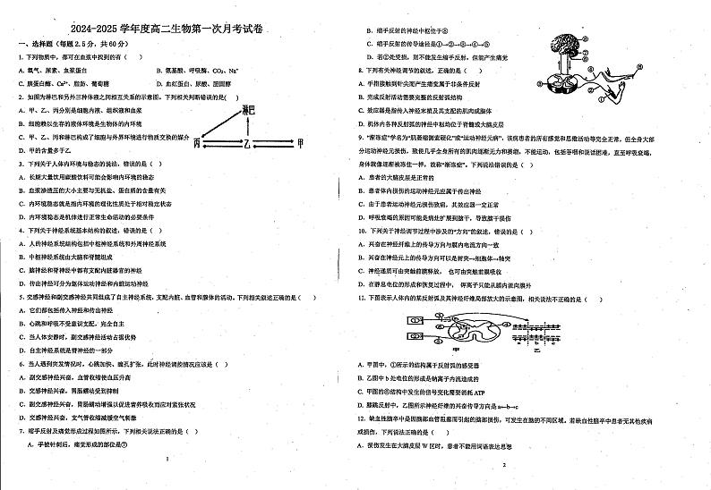 天津市武清区城关中学2024-2025学年高二上学期第一次月考生物试题01