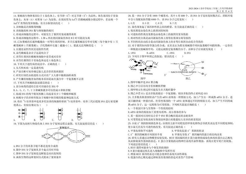 天津和平区益中学校2023-2024学年高三上学期12月月考生物试卷第2页