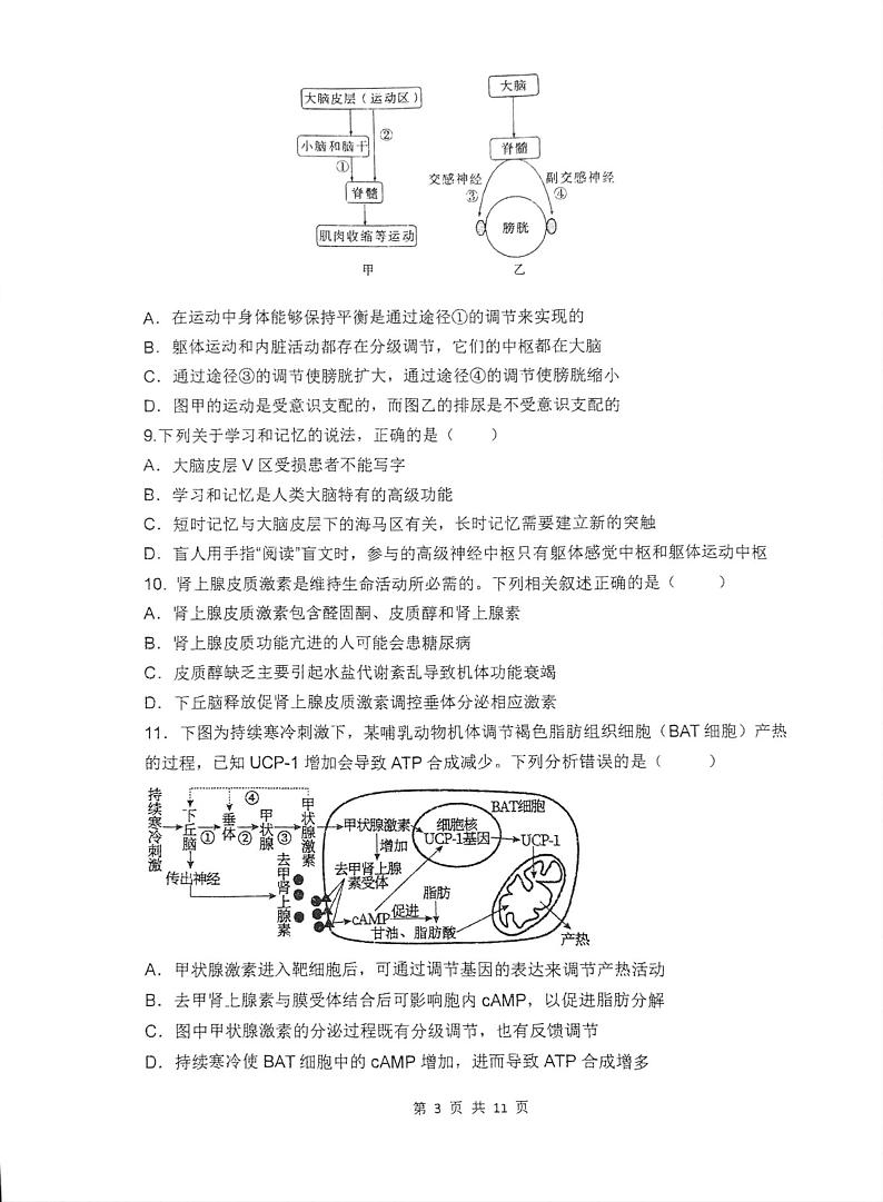 生物第3页