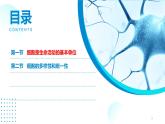 2024-2025人教版(2019)生物必修1《分子与细胞》课件PPT1走近细胞-1.1细胞是生命活动的基本单位
