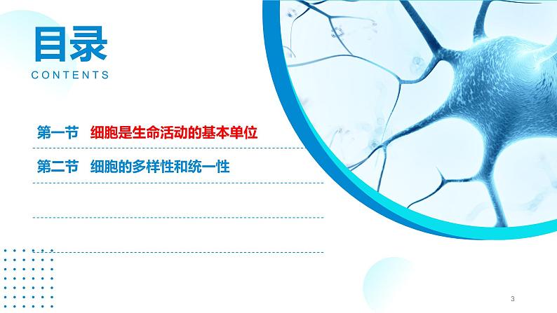 2024-2025人教版(2019)生物必修1《分子与细胞》课件PPT1走近细胞-1.1细胞是生命活动的基本单位第3页