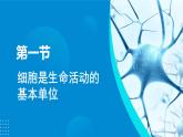 2024-2025人教版(2019)生物必修1《分子与细胞》课件PPT1走近细胞-1.1细胞是生命活动的基本单位