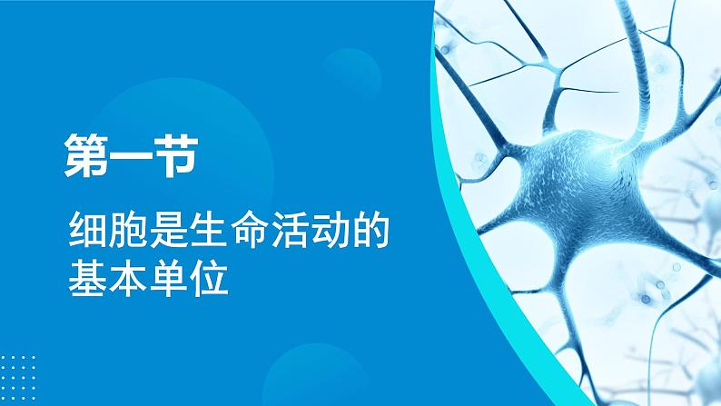 2024-2025人教版(2019)生物必修1《分子与细胞》课件PPT1走近细胞-1.1细胞是生命活动的基本单位第4页