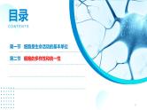 2024-2025人教版(2019)生物必修1《分子与细胞》课件PPT1走近细胞-1.2细胞的多样性和统一性
