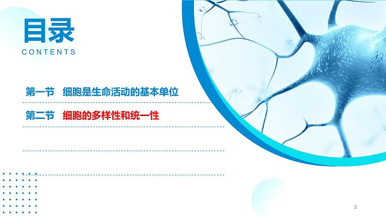 2024-2025人教版(2019)生物必修1《分子与细胞》课件PPT1走近细胞-1.2细胞的多样性和统一性第3页