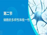 2024-2025人教版(2019)生物必修1《分子与细胞》课件PPT1走近细胞-1.2细胞的多样性和统一性