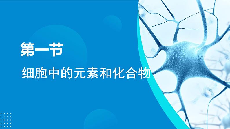 2024-2025人教版(2019)生物必修1《分子与细胞》课件PPT2组成细胞的分子-2.1细胞中的元素和化合物第4页