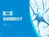 2024-2025人教版(2019)生物必修1《分子与细胞》课件PPT2组成细胞的分子-2.2细胞中的无机物