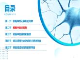 2024-2025人教版(2019)生物必修1《分子与细胞》课件PPT2组成细胞的分子-2.2细胞中的无机物