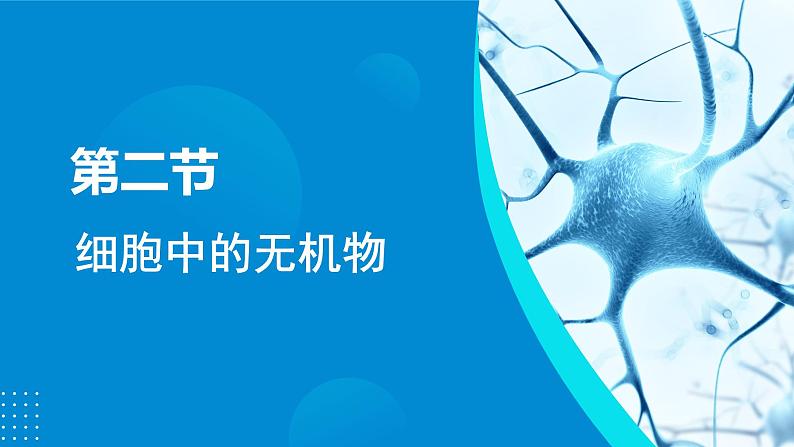 2024-2025人教版(2019)生物必修1《分子与细胞》课件PPT2组成细胞的分子-2.2细胞中的无机物第4页