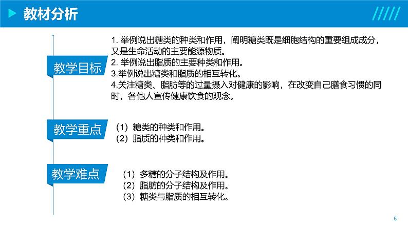 2024-2025人教版(2019)生物必修1《分子与细胞》课件PPT2组成细胞的分子-2.3细胞中的糖类和脂质05