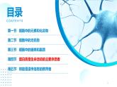 2024-2025人教版(2019)生物必修1《分子与细胞》课件PPT2组成细胞的分子-2.4蛋白质是生命活动的主要承担者