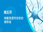 2024-2025人教版(2019)生物必修1《分子与细胞》课件PPT2组成细胞的分子-2.5核酸是遗传信息的携带者