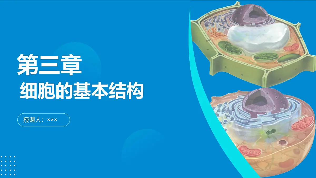 2024-2025人教版(2019)生物必修1《分子与细胞》课件PPT3细胞的基本结构-3.1细胞膜的结构与功能第1页