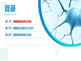 2024-2025人教版(2019)生物必修1《分子与细胞》课件PPT3细胞的基本结构-3.1细胞膜的结构与功能