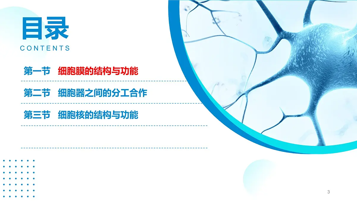2024-2025人教版(2019)生物必修1《分子与细胞》课件PPT3细胞的基本结构-3.1细胞膜的结构与功能第3页