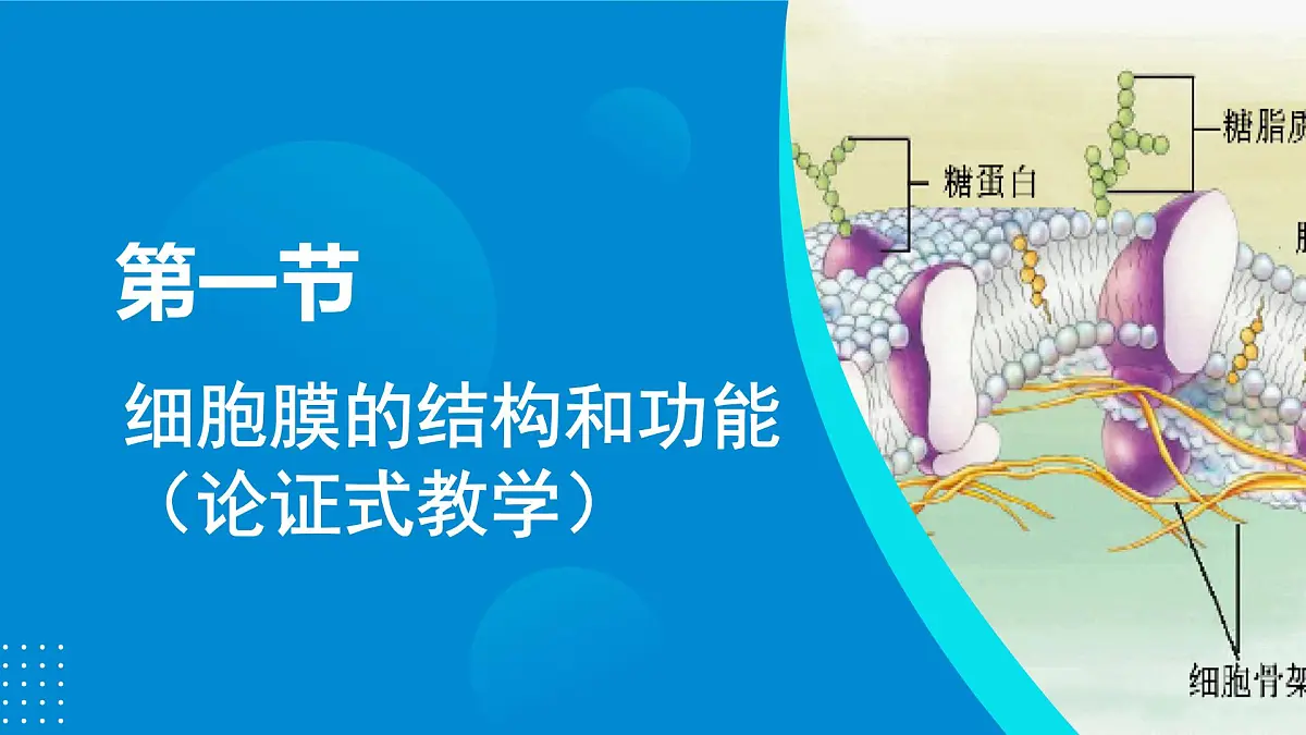 2024-2025人教版(2019)生物必修1《分子与细胞》课件PPT3细胞的基本结构-3.1细胞膜的结构与功能第4页