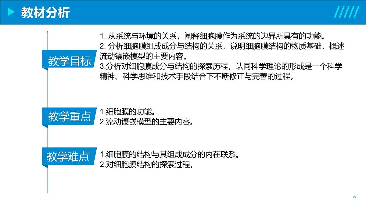 2024-2025人教版(2019)生物必修1《分子与细胞》课件PPT3细胞的基本结构-3.1细胞膜的结构与功能第5页