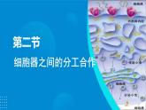 2024-2025人教版(2019)生物必修1《分子与细胞》课件PPT3细胞的基本结构-3.2细胞器之间的分工合作