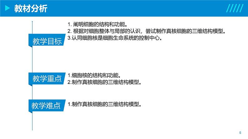 2024-2025人教版(2019)生物必修1《分子与细胞》课件PPT3细胞的基本结构-3.3细胞核的结构与功能第5页