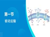 2024-2025人教版(2019)生物必修1《分子与细胞》课件PPT4 细胞的物质输入和输出-4.1被动运输