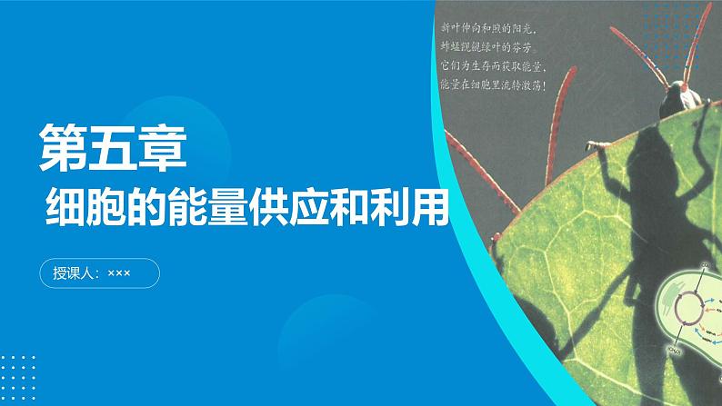 2024-2025人教版(2019)生物必修1《分子与细胞》课件PPT5细胞的能量供应和利用-5.2细胞的能量“货币”ATP第1页