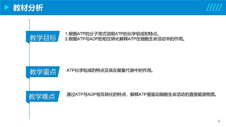 2024-2025人教版(2019)生物必修1《分子与细胞》课件PPT5细胞的能量供应和利用-5.2细胞的能量“货币”ATP第6页