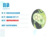 2024-2025人教版(2019)生物必修1《分子与细胞》课件PPT5细胞的能量供应和利用-5.3细胞呼吸的原理和应用