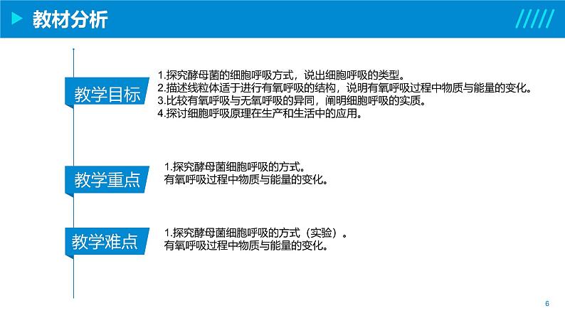 2024-2025人教版(2019)生物必修1《分子与细胞》课件PPT5细胞的能量供应和利用-5.3细胞呼吸的原理和应用第6页